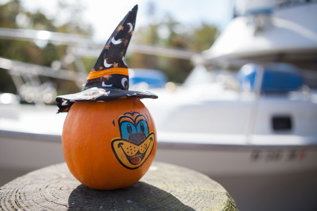 Decorations on the dock.