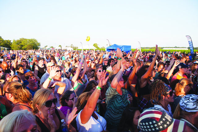 The FOLD Festival, a two-day concert produced by Nile Rodgers, drew acts like Pharrell Williams and Beck to Martha Clara Vineyards in Riverhead. (Credit: Katharine Schroeder)