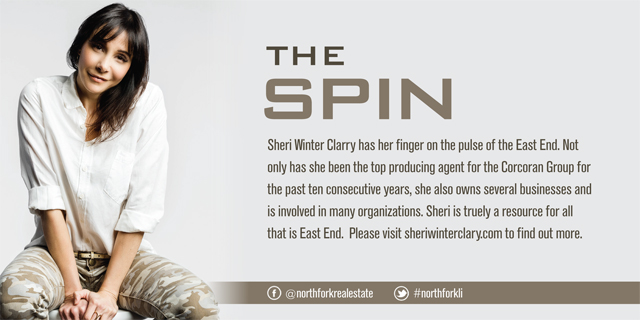 TheSpinAbout