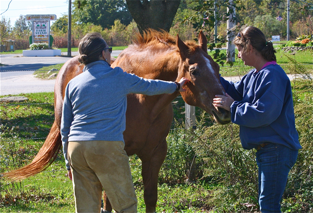 Therapist Louise Abitbol of Shelter Island and North Shore Horse Rescue and Sanctuary co-owner Laurel Palermo with Jet. (Credit: Barbaraellen Koch)