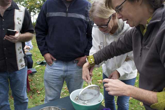 Laura Klahre directs the bee ranchers as they clean their bees. (Credit: vera Chinese)
