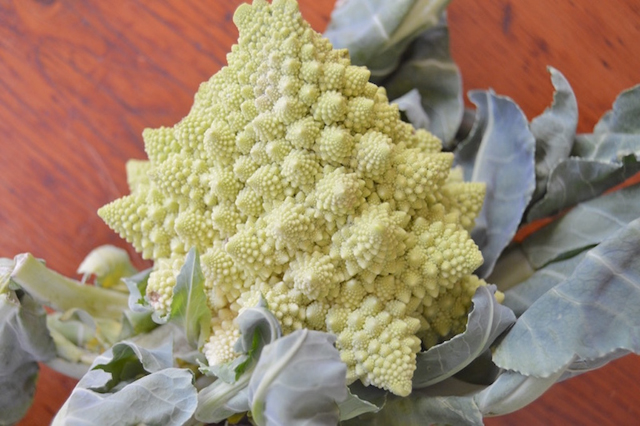 Helen's Farm Romanesco