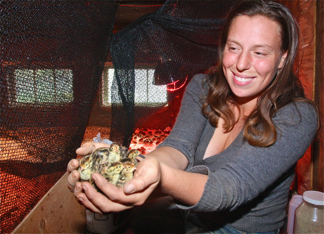 Quail farmer Abra Morawiec, 29, with some of the chicks she got earlier this week. They will be in the brooder in the barn for four weeks.