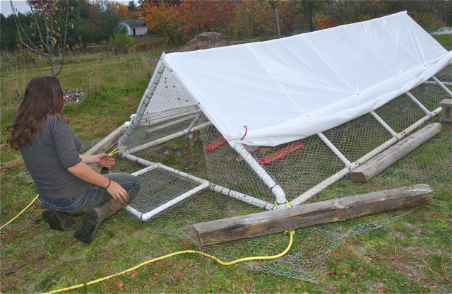 Farmer Abra Morawiec with one of the moveable pens she designed