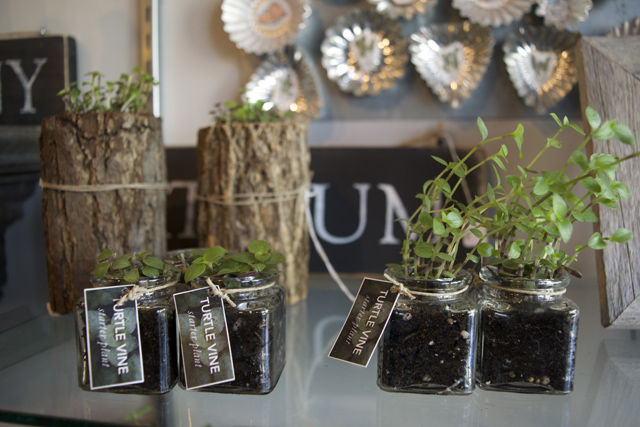 Credit: Vera Chinese