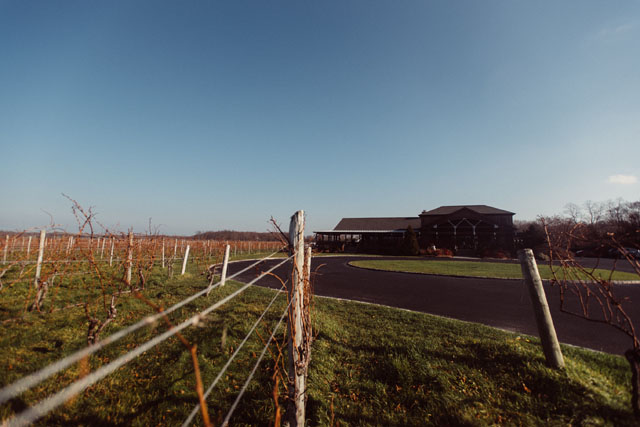 Macari Vineyards