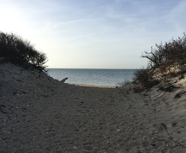 Hikers are rewarded with this view while exploring Sound View Dunes park in Southold. (Credit: Vera Chinese)