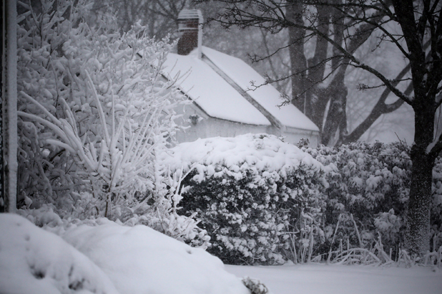 Spotted in East Marion. Photo courtesy of William Bjornholm