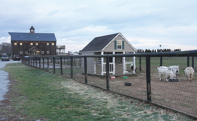 Martha Clara animals and outbuildings. (Credit: Barbaraellen Koch)