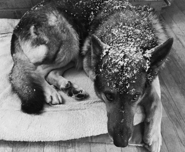 Photo courtesy of Monday Sipiaguine