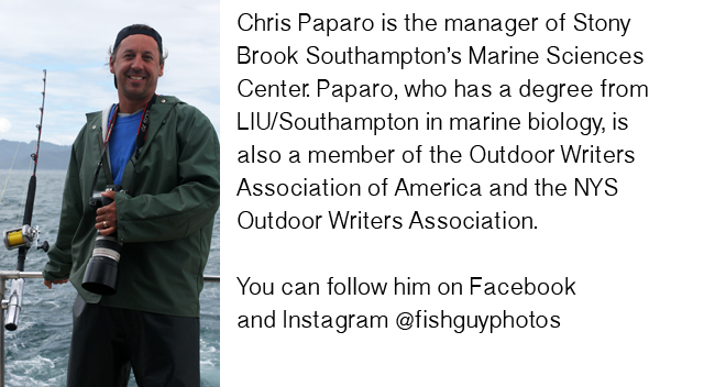 Chris paparo