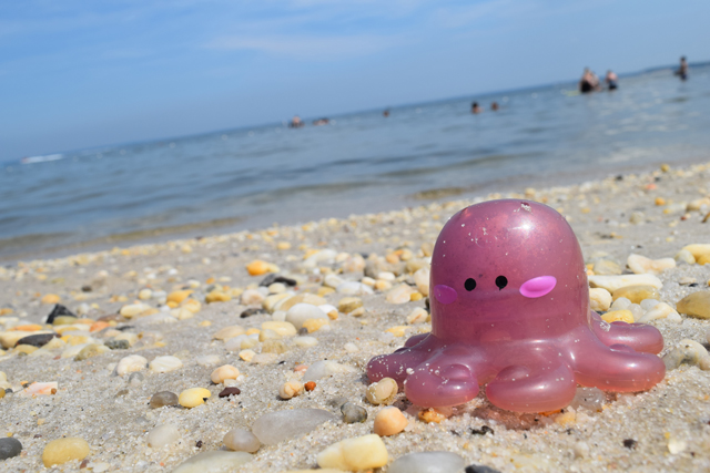 A scene from South Jamesport Beach on July 28, 2015. (Credit: Vera Chinese)