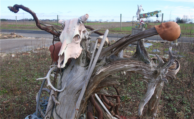 Credit: Barbaraellen Koch