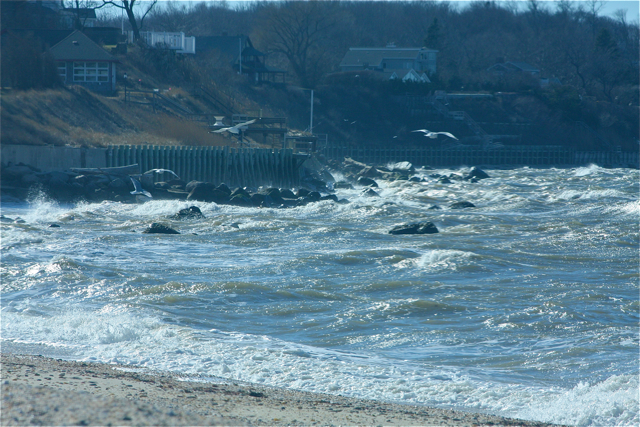 Credit: Barbaraellen Koch