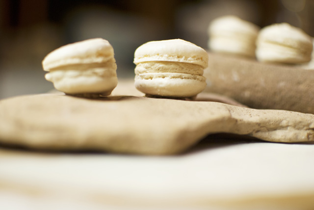 A BDP cookie. (Credit: Katelyn Luce)