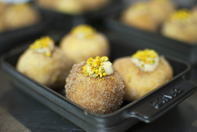 A bee pollen donut. (Credit: Katelyn Luce)