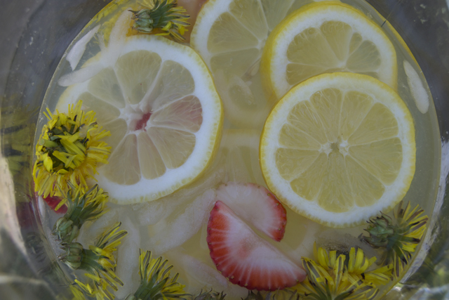 Dandelion lemonade.