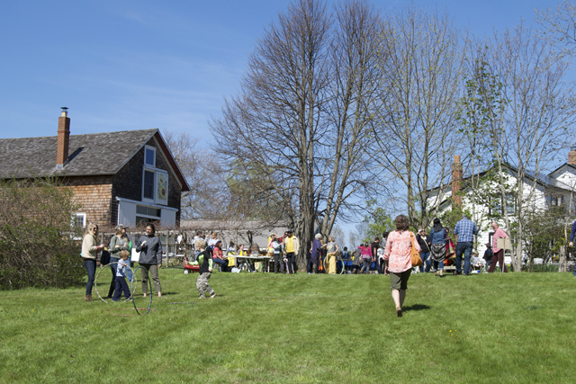 The scene at the dandelion festival.