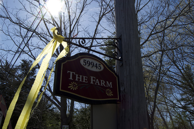 The entrance to The Farm.