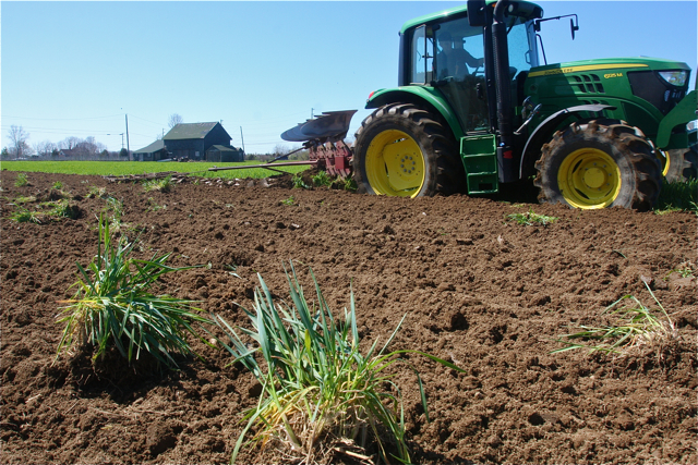 Farmer Will Lee plowing under the cover crop on a 3-acre field his family leases from the Witzack family in Cutchogue.