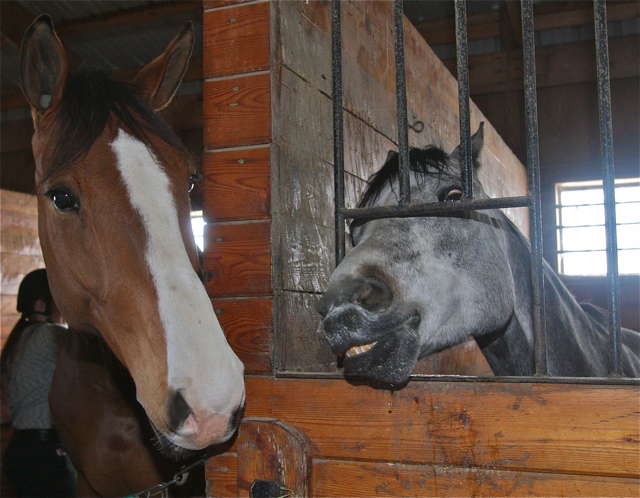 Big A and Papi are friends.
