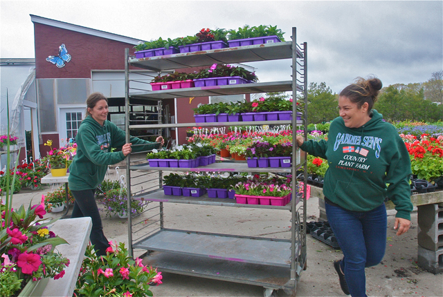 Stephanie and Tina Gabrielsen roll out a cart full of New Guinea Impatiens (Credit: BE Koch)