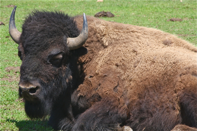 Credit: Barbaraellen Koch