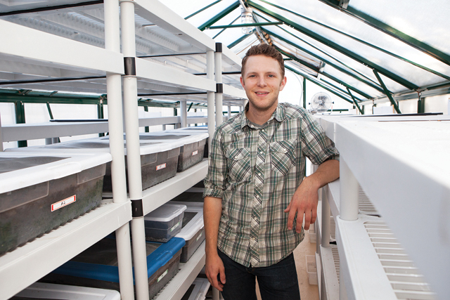 Chef Taylor Knapp inside the Peconic Escargot greenhouse at the Peconic Land Trust property on Main Road. (Credit: Katharine Schroeder)