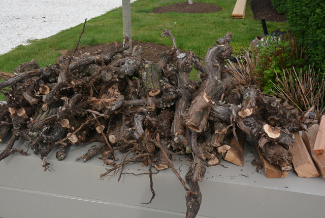 Cuttings from the vines before going into the fire.