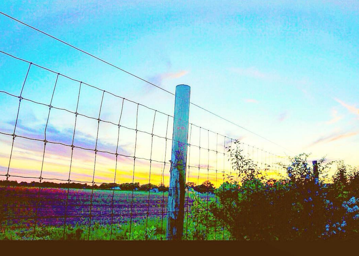 @gonorthforkyourself