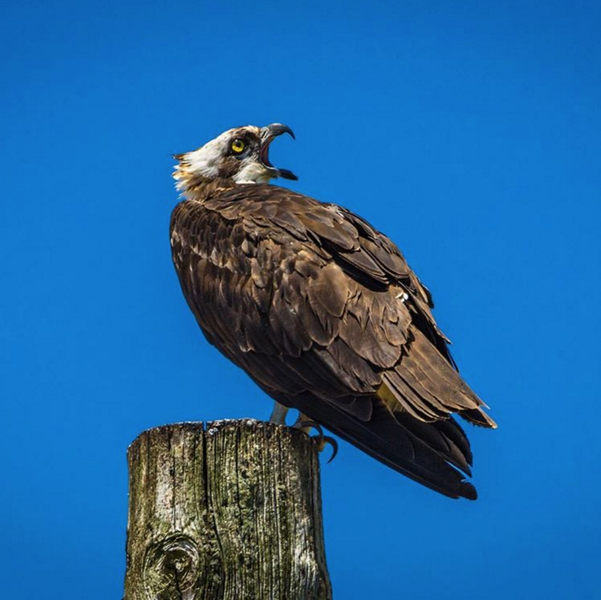 @jpstanisic Southold Town Beach