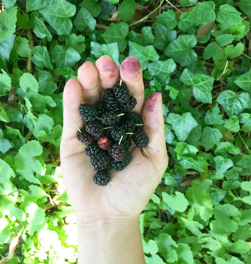 @katelynluce Southold