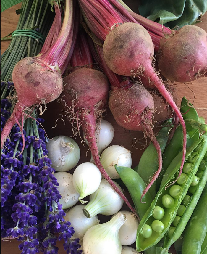 @margenefarms Mattituck