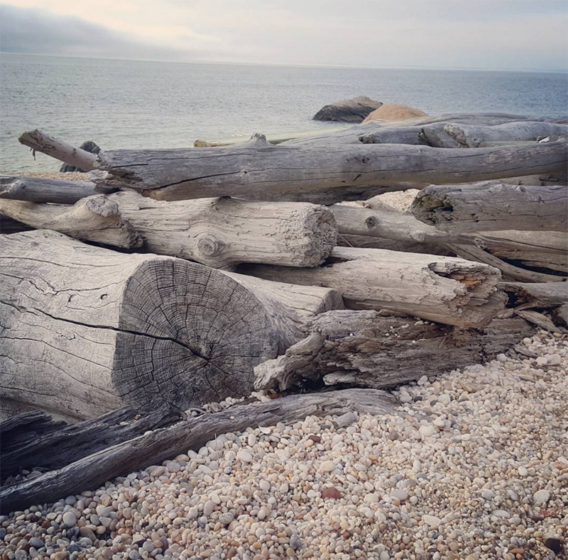 @northforkgift Orient