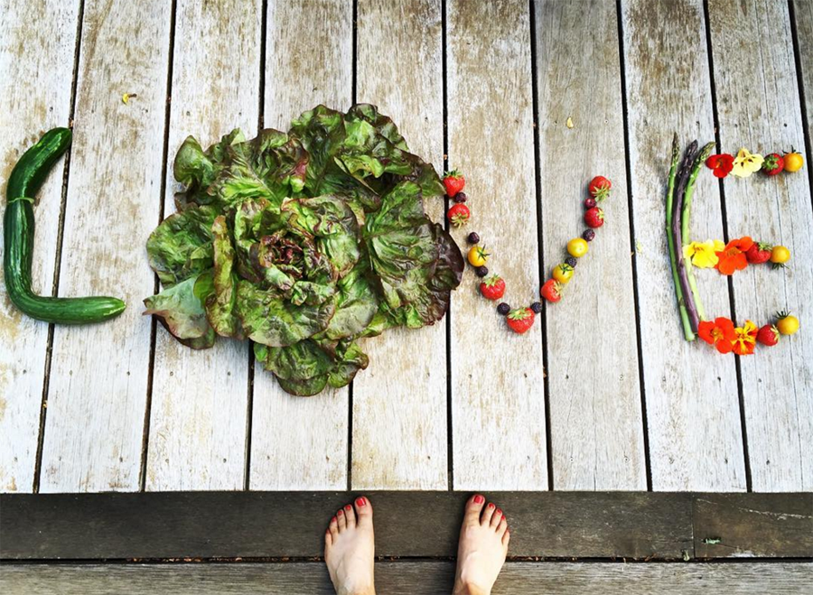 @sangleefarms Sang Lee Farms