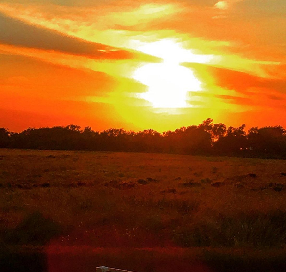 @suzie0317 Lieb Cellars