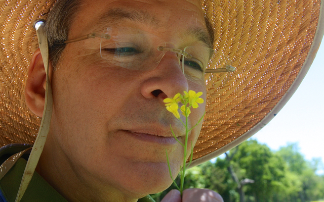 Artist Keith Mantell says the mustard flower has a smell like a spicy men’s cologne. (Credit: Barbaraellen Koch)