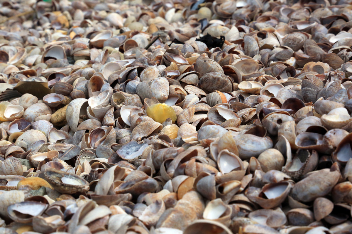 @the_northforker Silver Beach, Shelter Island