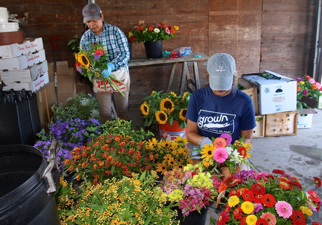 Farm worker Maria Trinidad makes mixed bouquets with Rose.