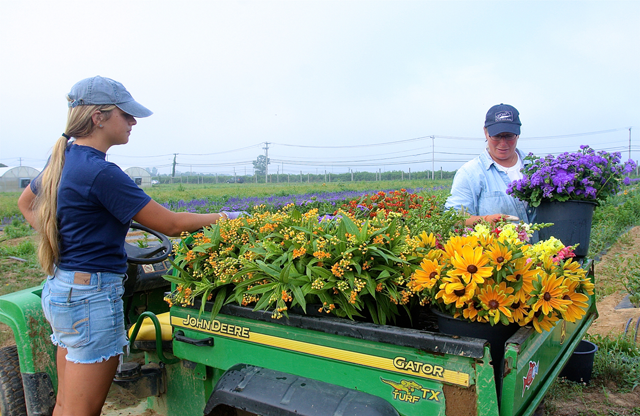 Rose and her mother, Denise, gather freshly cut field flowers.