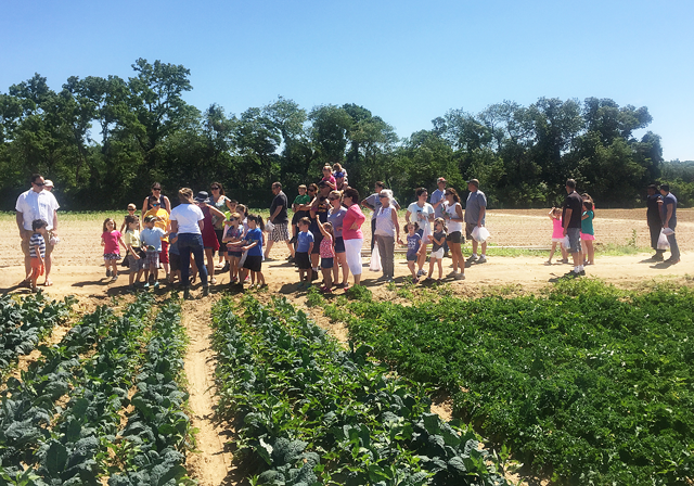 Farm Days with Rose in June. (Credit: Andrews Family Farm courtesy)