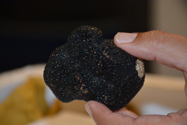 Summer truffles are less perishable than the more expensive black and white truffles (Credit: Monique Singh-Roy)