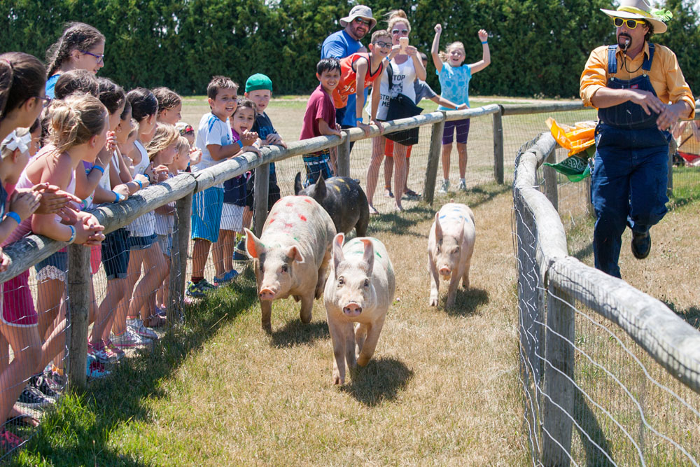 And they're off! (Credit: Katharine Schroeder)