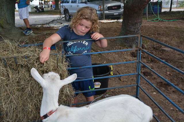 Hallockville fall festival