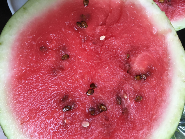 A beautiful watermelon from Surrey Lane Vineyard Orchard farm in Southold. (Credit: Vera Chiense)