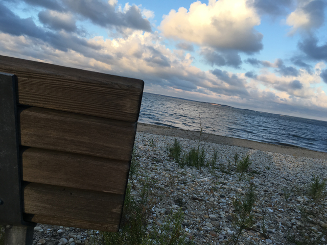 The view of Peconic Bay from Causeway Beach.