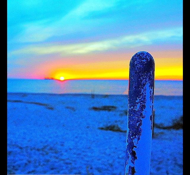 Screen Shot 2016-08-14 at 11.35.41 AM