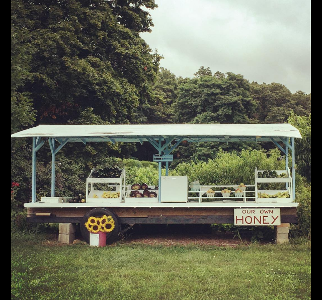 Screen Shot 2016-08-14 at 12.07.43 PM