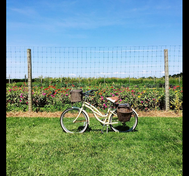 Screen Shot 2016-08-28 at 1.33.35 PM