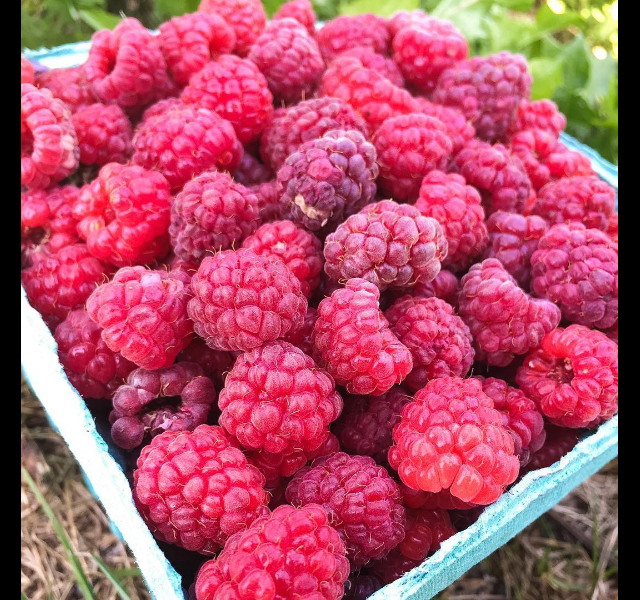 Screen Shot 2016-08-28 at 1.38.17 PM